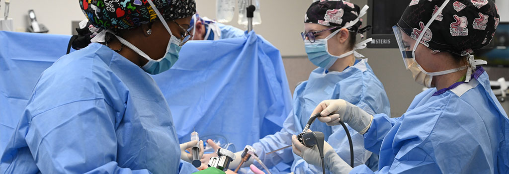 Bariatric Surgery
